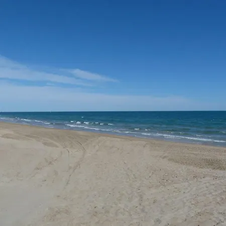 Zen Et Summer Zen Coursive Naturiste *