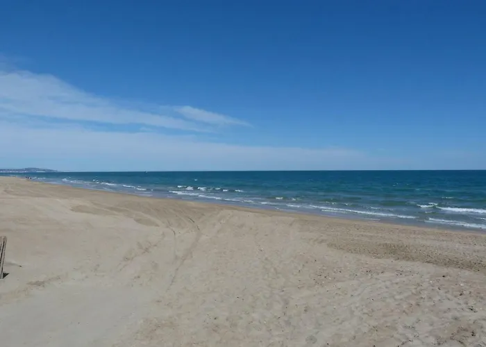 Zen Et Summer Zen Coursive Naturiste *